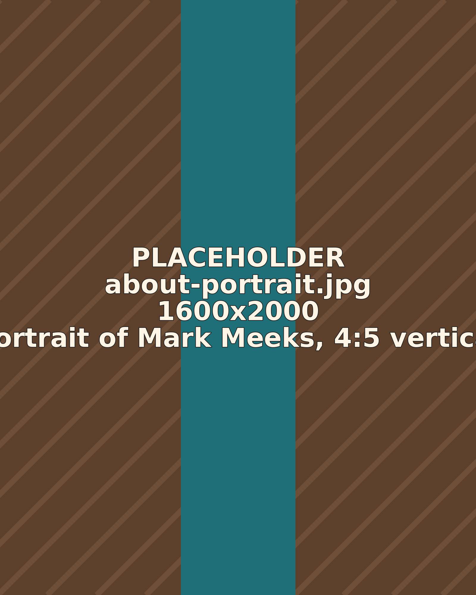 Portrait of Mark Meeks (placeholder)